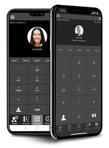 mobile-app-voip-221x300 VoIP Phones & Services in Florida